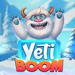 Yeti Boom FS